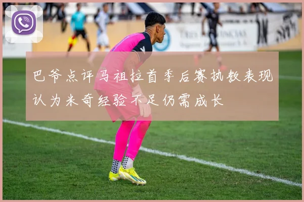 巴爷点评马祖拉首季后赛执教表现认为米奇经验不足仍需成长